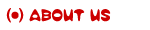 Versatile IT Solutions | About Us - Profile